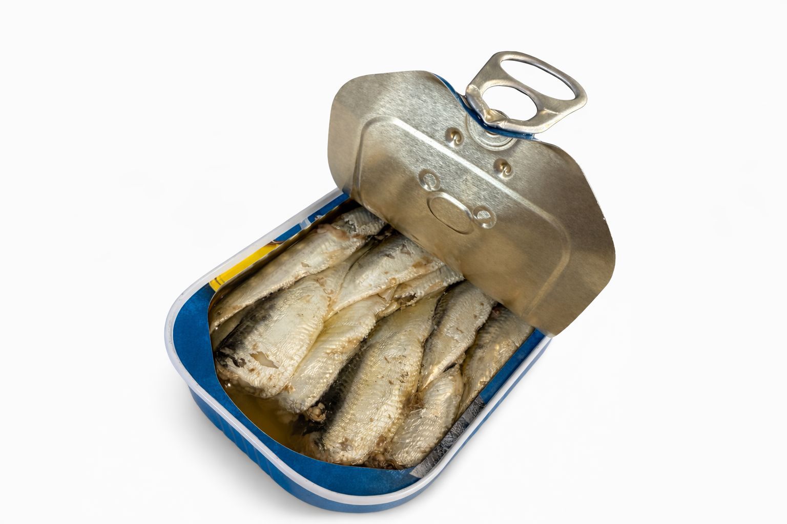 Sardines in Vegetable Oil 2